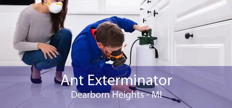 Ant Exterminator Dearborn Heights - MI