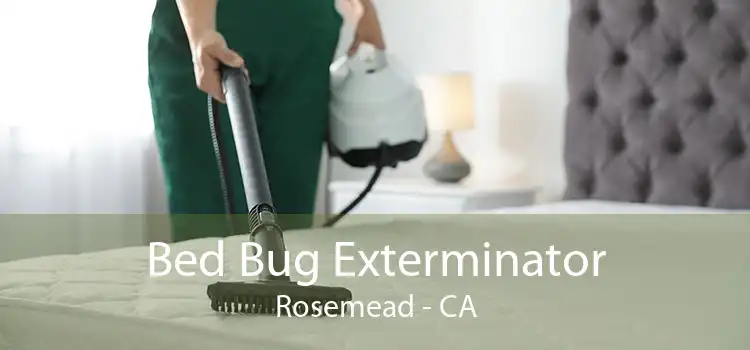 Bed Bug Exterminator Rosemead - CA