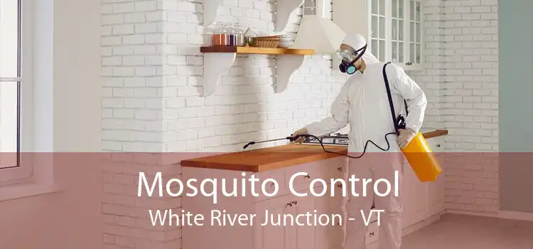 Mosquito Control White River Junction - VT